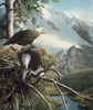 Majestic View Poster Print - Kevin Daniel