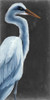 Herald II Poster Print - Grace Popp