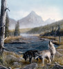 Call Of The Wild III Poster Print - Kevin Daniel