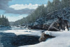 Snowy Wolf Poster Print - Kevin Daniel