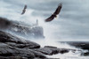 Soaring High Poster Print - Kevin Daniel