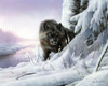 Lone hunter Poster Print - Kevin Daniel