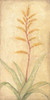 Tropical Flowers II Poster Print - Cheri Blum