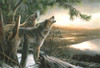 Call Of The Wild Poster Print - Kevin Daniel