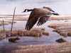Wetlands And Wilds Poster Print - Kevin Daniel