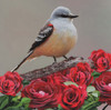 State Bird Oklahoma Poster Print - Kevin Daniel