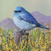 State Bird Nevada Poster Print - Kevin Daniel