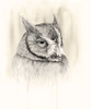Timberland Animals IV Poster Print - Grace Popp