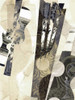 Calipso II Poster Print - John Butler