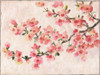 Cherry Blossom Composition I Poster Print - Tim OToole