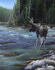 Northern Solitude Poster Print - Kevin Daniel