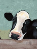 Holstein Cow III Poster Print - Jade Reynolds