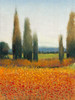 Cypress Trees II Poster Print - Tim OToole