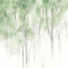 Misty Grove II Poster Print - June Erica Vess