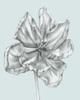 Silvery Blue Tulips IV Poster Print - Jennifer Goldberger