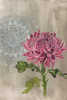 Bohemian Botanical I Poster Print - Naomi McCavitt