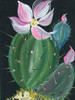 Cactus I Poster Print - Kristy Rice