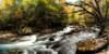 Tremont Panorama III Poster Print - Danny Head