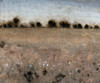 Late Afternoon II Poster Print - Tim OToole