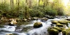 Riverside Panorama Poster Print - Danny Head