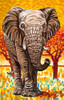 Wild Africa I Poster Print - Carolee Vitaletti