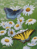 Butterflies and Daisies Poster Print - Fred Szatkowski