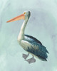 Watercolor Beach Bird VI Poster Print - Grace Popp