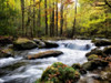 Over Flow II Poster Print - Danny Head