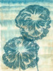 Playful Papavers I Poster Print - Grace Popp