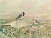 Gathering Poster Print - George Sutton