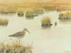 Waiting Poster Print - George Sutton