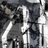 In Motion I Poster Print - Jennifer Goldberger