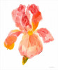 Sunset Blooms II Poster Print - Tim OToole
