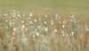 Meadow Blossoms II Poster Print - Tim OToole