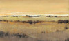 Golden Pasture II Poster Print - Tim OToole