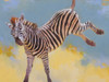 Bucking Zebra Poster Print - Julie Chapman