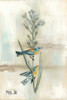 After Flight I Poster Print - Naomi McCavitt