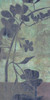 Forgotten Whimsy II Poster Print - Jennifer Goldberger