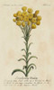 Gardeners Guide VIII Poster Print - Unknown