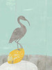 Heron Collage II Poster Print - Jennifer Goldberger
