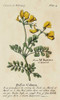 Gardeners Guide I Poster Print - Unknown