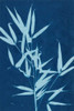 Cyanotype No.2 Poster Print - Renee W. Stramel