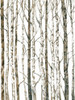 Bare I Poster Print - Tim OToole