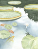 Koi Reflection I Poster Print - Chariklia Zarris