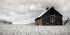 Ready for Harvest Poster Print - Danita Delimont