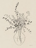 Sketches of Spring II Beige Poster Print - Danhui Nai