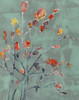 Wildflower Watercolors II Poster Print - Jennifer Goldberger
