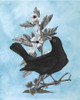 Bird on Blue II Poster Print - Naomi McCavitt