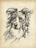Breed Studies V Poster Print - Ethan Harper