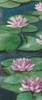 Tranquil Lilies I Poster Print - Naomi McCavitt